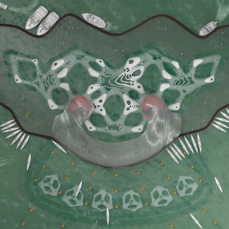 Artificial coral reef masterplan - top view of the accretion structure and dive site