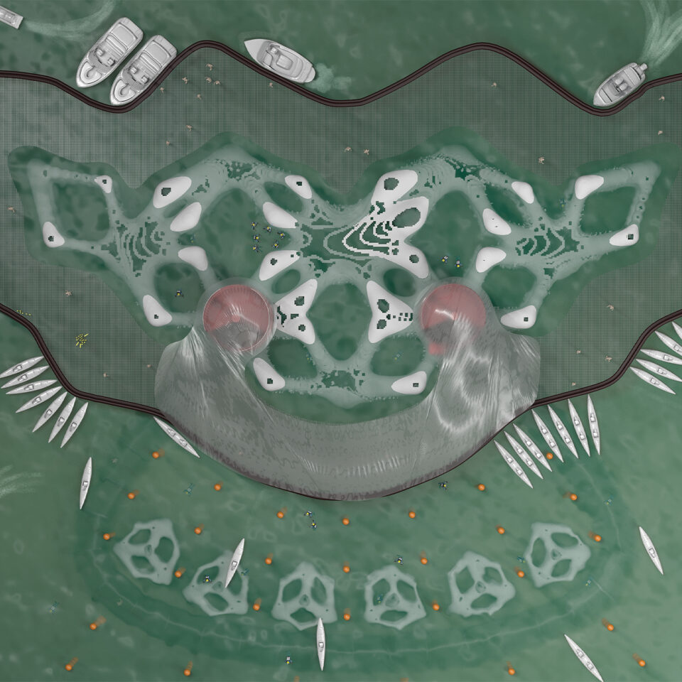 Artificial coral reef masterplan - top view of the accretion structure and dive site